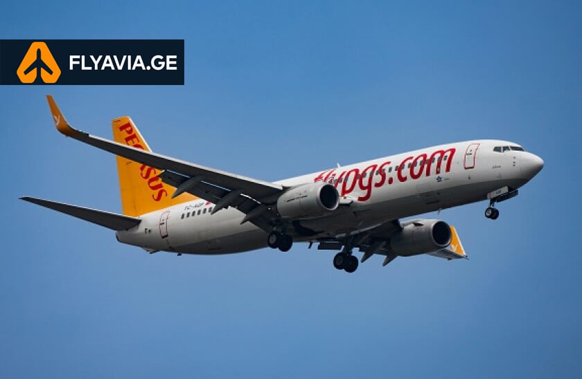 პეგასუსი